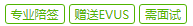 VIP签证服务